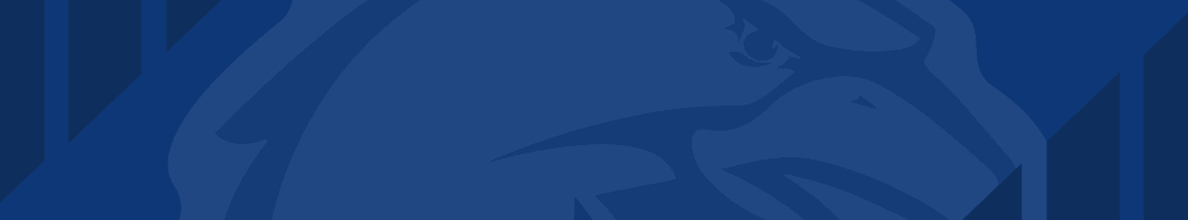 官方公告 | 欢迎王奕博、胡小龙加盟，赵嘉义正式转会！